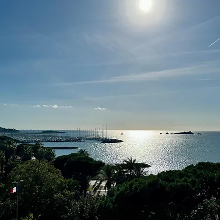 Beautiful Stunning View Of The Lion De