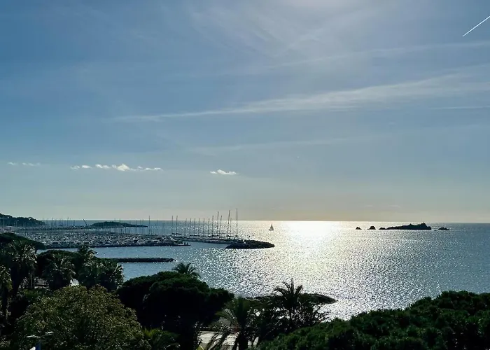 Beautiful Stunning View Of The Lion De