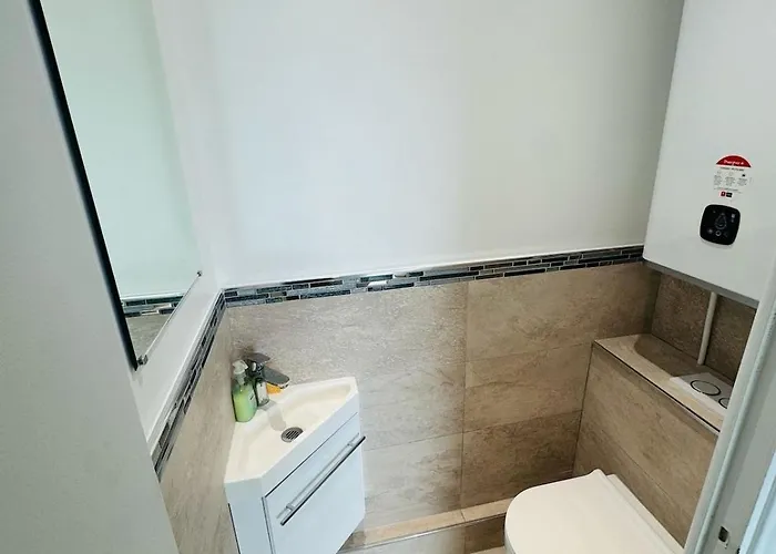 公寓 Beautiful Stunning View Of The Lion De